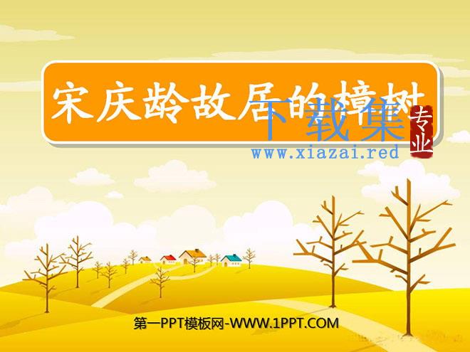 《宋庆龄故居的樟树》PPT课件3
