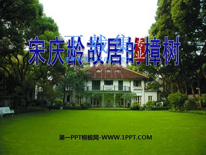 《宋庆龄故居的樟树》PPT课件4