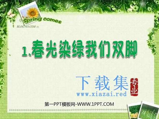 《春光染绿我们双脚》PPT课件4