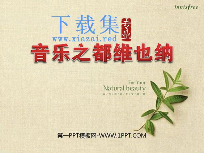 《音乐之都维也纳》PPT课件4