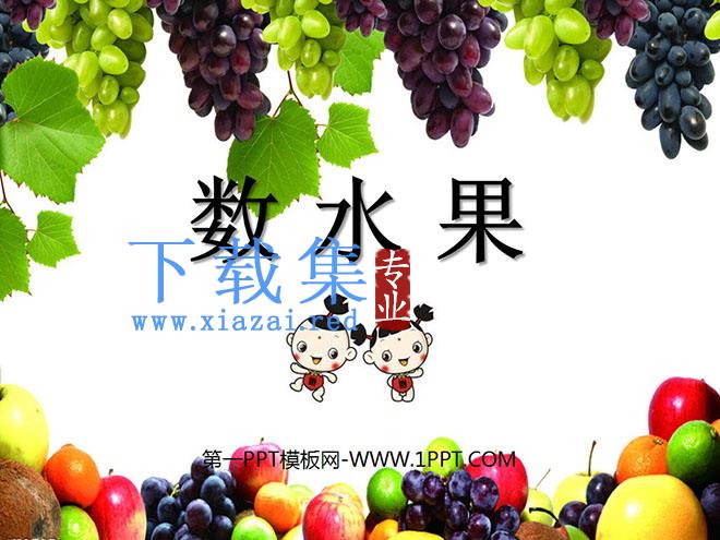 《数水果》PPT课件2