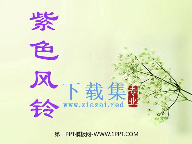 《紫色风铃》PPT课件2