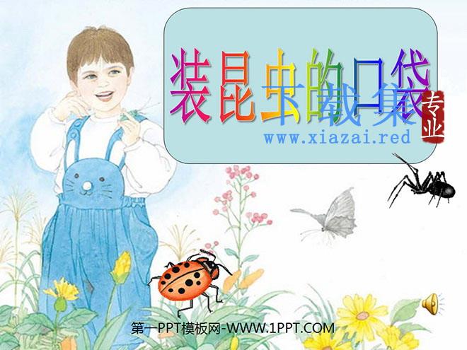 《装昆虫的口袋》PPT课件2
