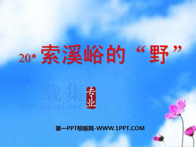 《索溪峪的“野”》PPT课件下载6
