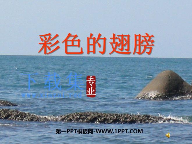《彩色的翅膀》PPT课件下载4