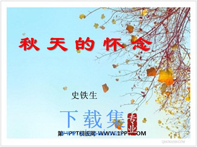 《秋天的怀念》PPT课件2