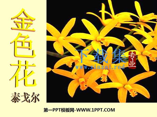 《诗两首-金色花》PPT课件4