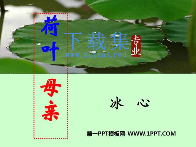 《荷叶母亲》PPT课件3