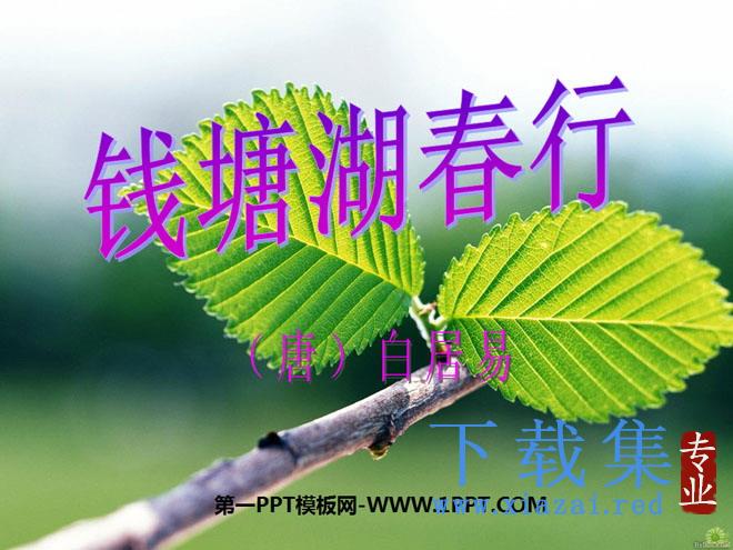 《钱塘湖春行》PPT课件3