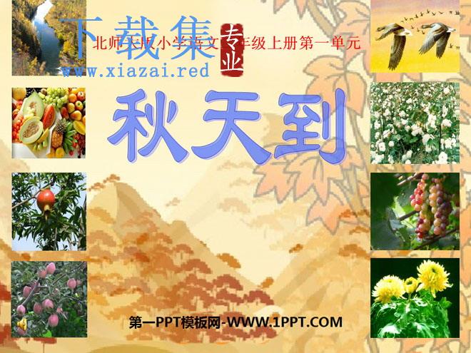 《秋天到》PPT课件3