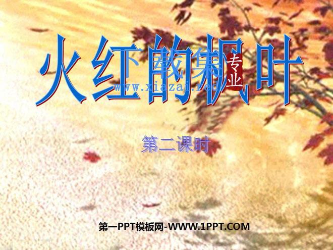 《火红的枫叶》PPT课件4