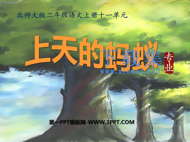 《上天的蚂蚁》PPT课件3