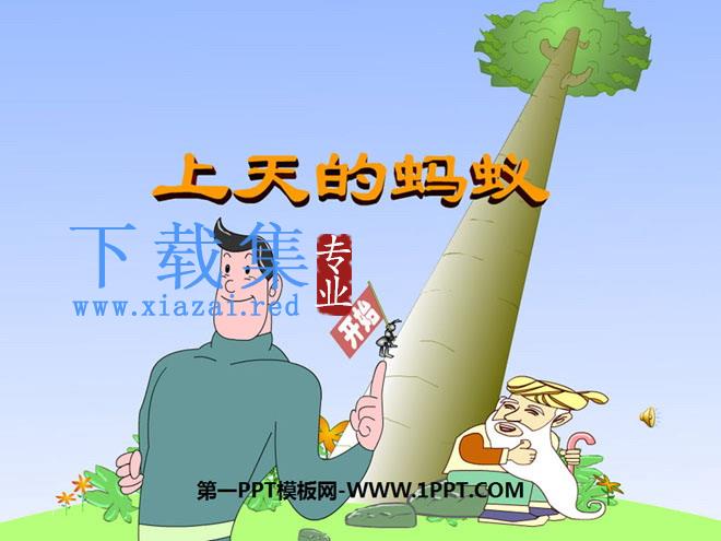 《上天的蚂蚁》PPT课件5