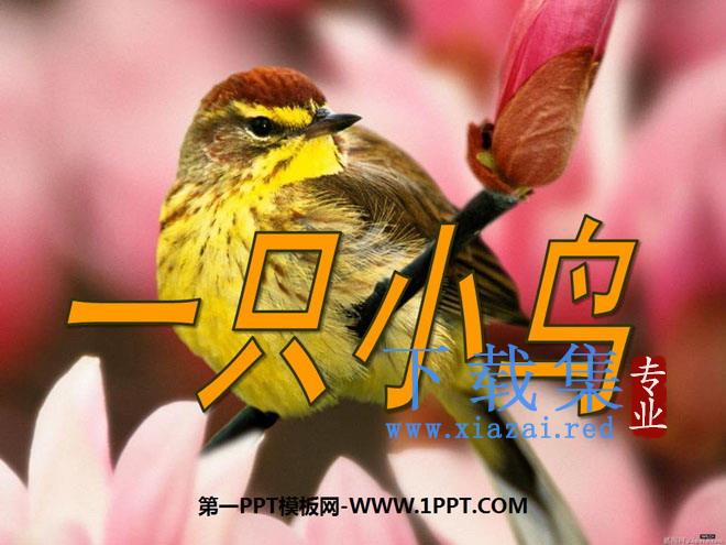 《一只小鸟》PPT课件
