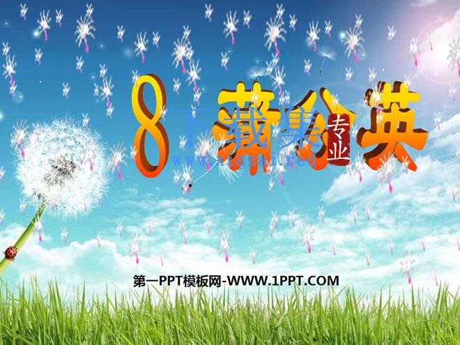 《蒲公英》PPT课件3