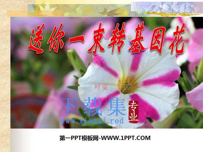 《送你一束转基因花》PPT课件3