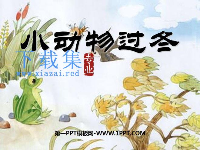 《小动物过冬》PPT课件3