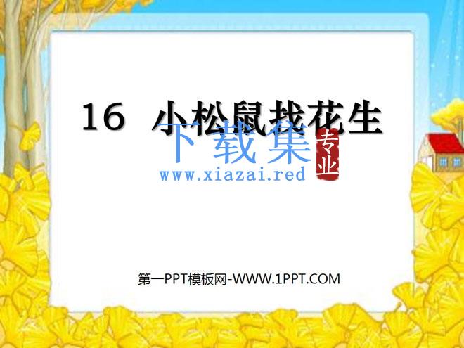 《小松鼠找花生》PPT课件9