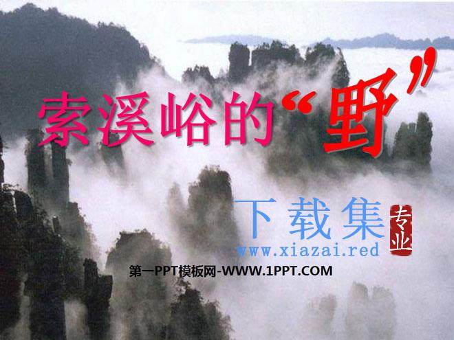 《索溪峪的“野”》PPT课件下载8