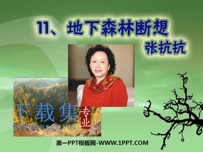 《地下森林断想》PPT课件6
