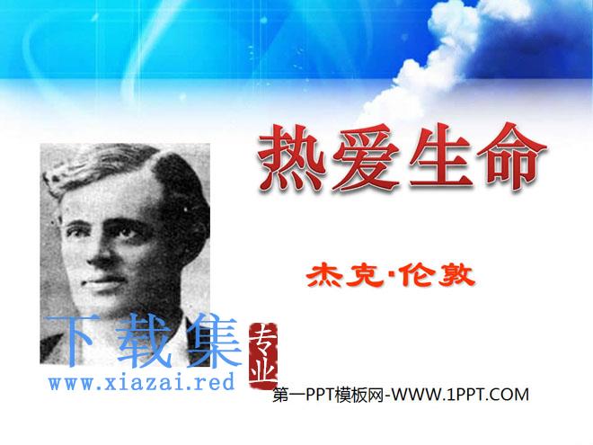 《热爱生命》PPT课件8