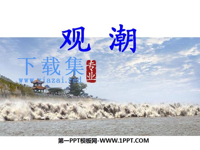 《观潮》PPT课件5