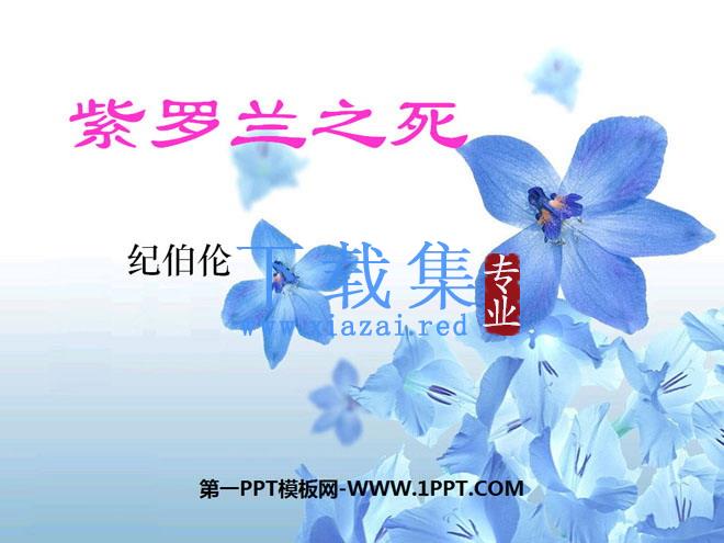 《紫罗兰之死》PPT课件