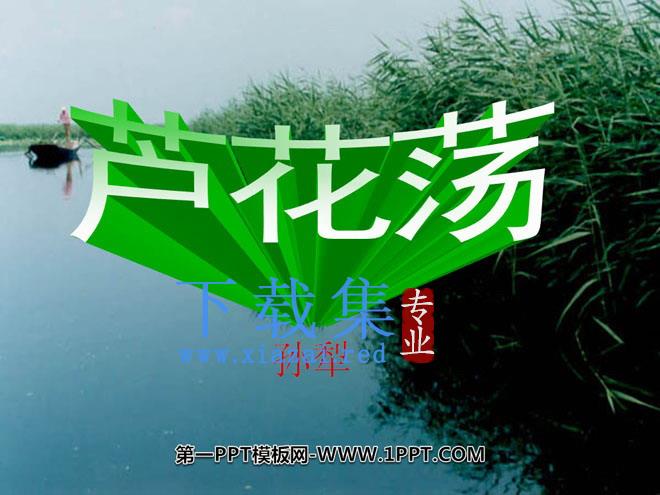 《芦花荡》PPT课件8