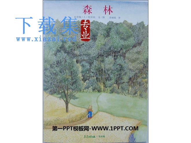 《森林》绘本故事PPT