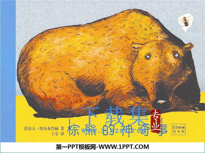 《棕熊的神奇事》绘本故事PPT