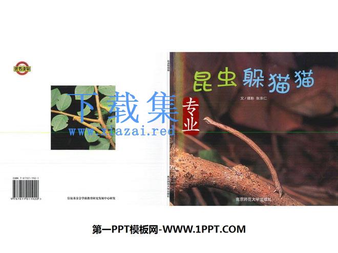 《昆虫躲猫猫》绘本故事PPT