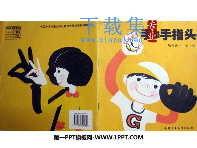 《手和手指头》绘本故事PPT