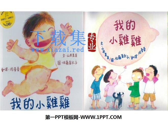 《我的小鸡鸡》绘本故事PPT