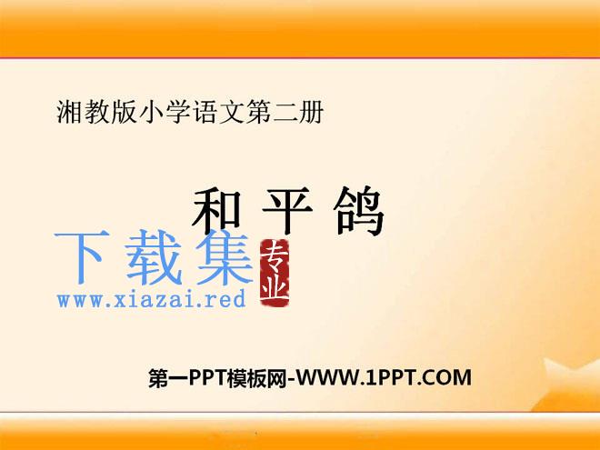 《和平鸽》PPT课件2