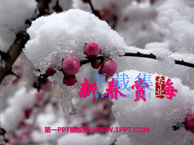 《新春赏梅》PPT课件