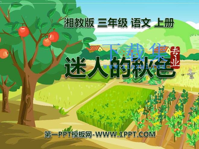 《迷人的秋色》PPT课件3