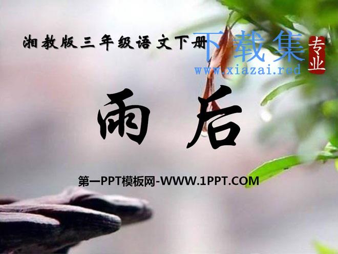 《雨后》PPT课件11