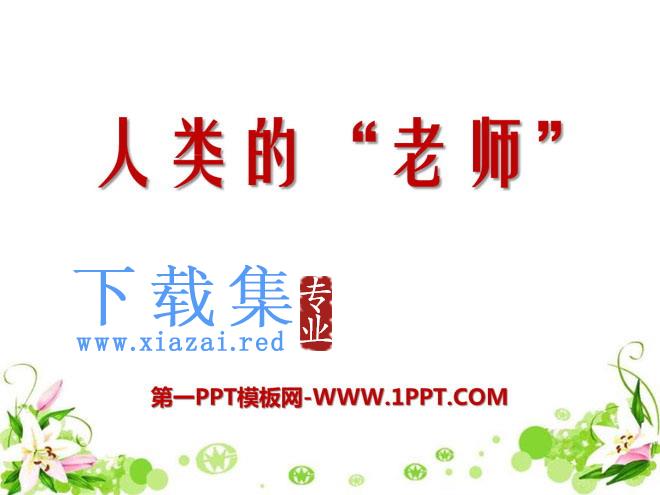 《人类的“老师”》PPT课件4