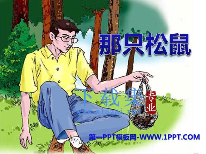 《那只松鼠》PPT课件3