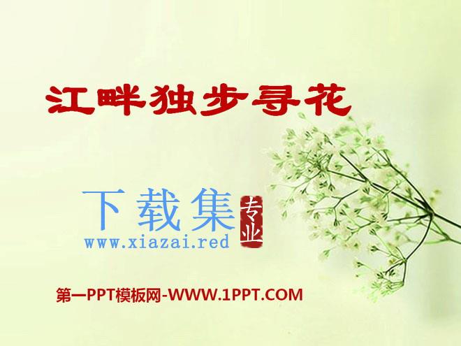 《江畔独步寻花》PPT课件6