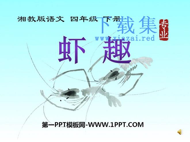 《虾趣》PPT课件2