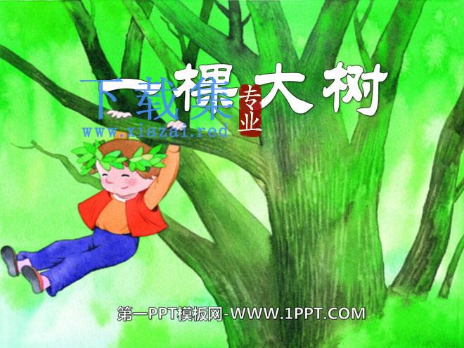 《一棵大树》PPT课件