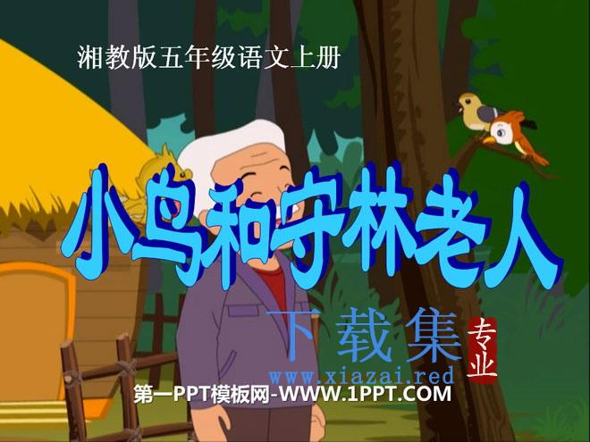 《小鸟和守林老人》PPT课件2