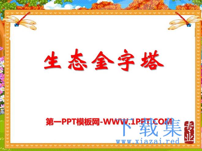 《生态金字塔》PPT课件