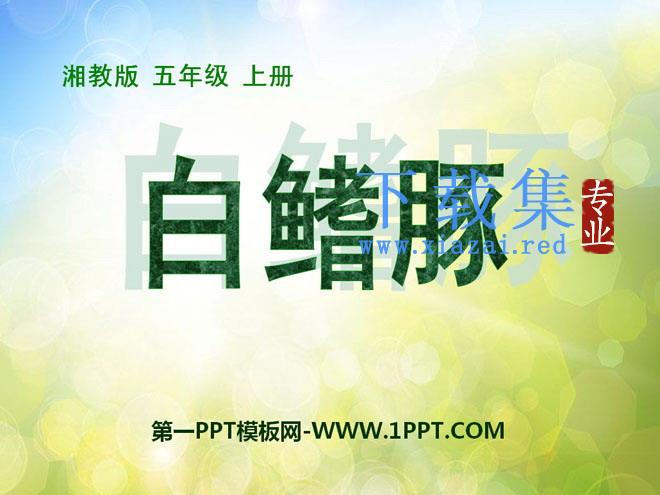 《白鳍豚》PPT课件