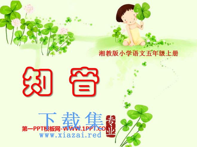 《知音》PPT课件3