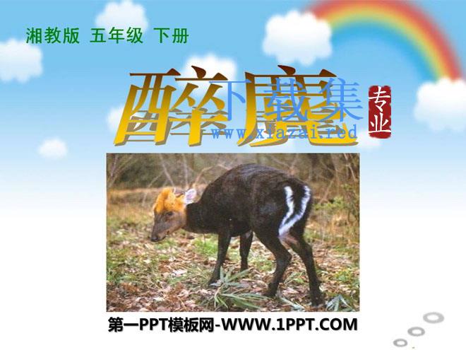 《醉麂》PPT课件2