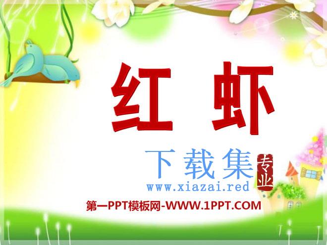 《红虾》PPT课件2