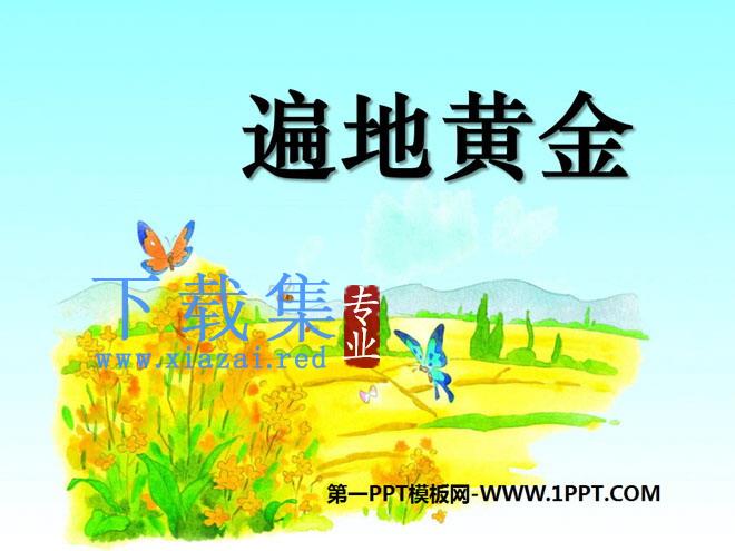 《遍地黄金》PPT课件2