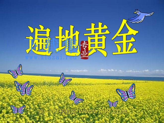 《遍地黄金》PPT课件3